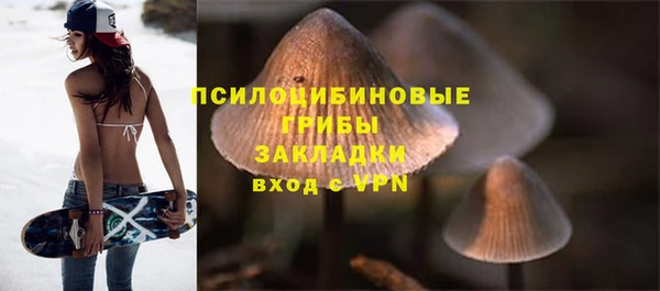 индика Кукмор