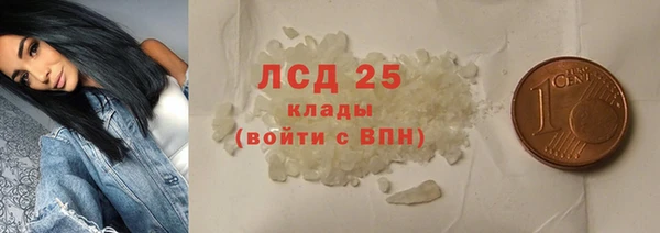индика Кукмор