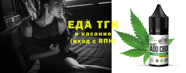 индика Кукмор